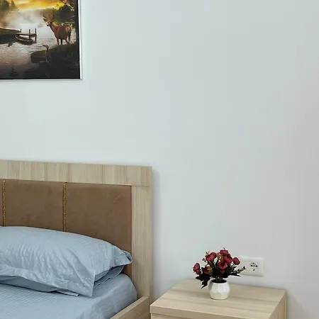 公寓 Tirana City Rental Apartments