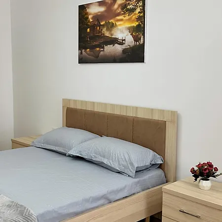 Tirana City Rental Apartments 公寓 地拉那