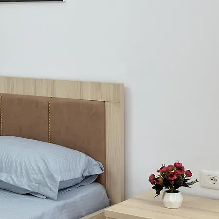 Tirana City Rental Apartments アパート ティラナ